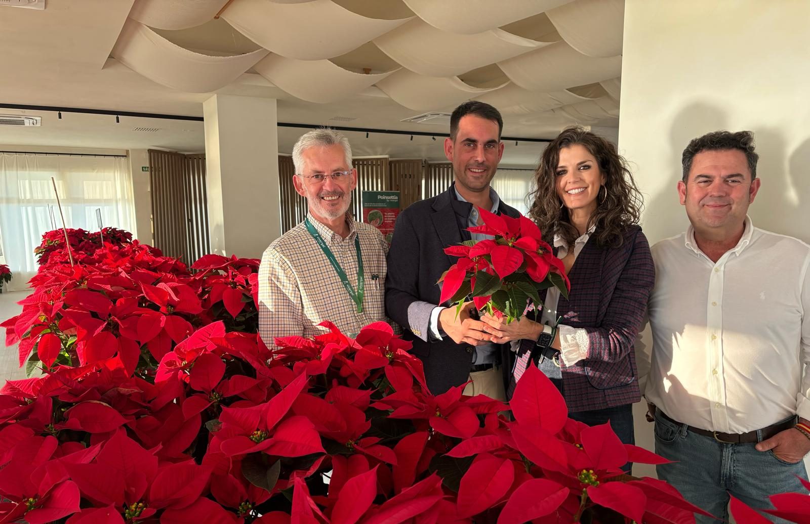 Servicios Sociales recibe una donación de 500 plantas de Poinsettia para decorar los Centros de la Tercera Edad, la Residencia y el Centro de Día